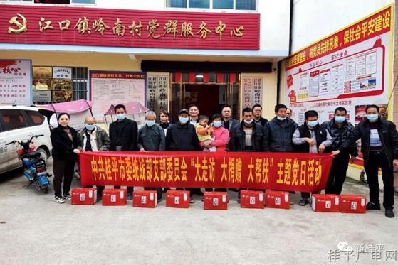 市委統(tǒng)戰(zhàn)部支部委員會到江口鎮(zhèn)嶺南村開展“大走訪 大捐贈 大幫扶”主題黨日活動