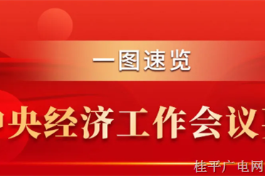 一圖速覽中央經(jīng)濟工作會議要點