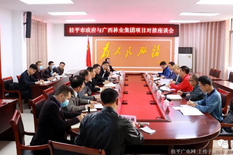 桂平市與廣西林業(yè)集團項目舉行對接座談會