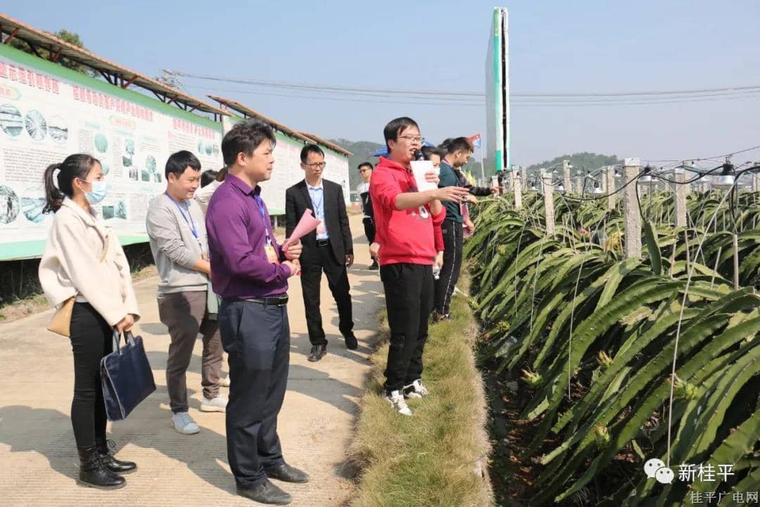 桂平市石咀鎮(zhèn)：人大代表學黨史 助力鄉(xiāng)村振興擔使命