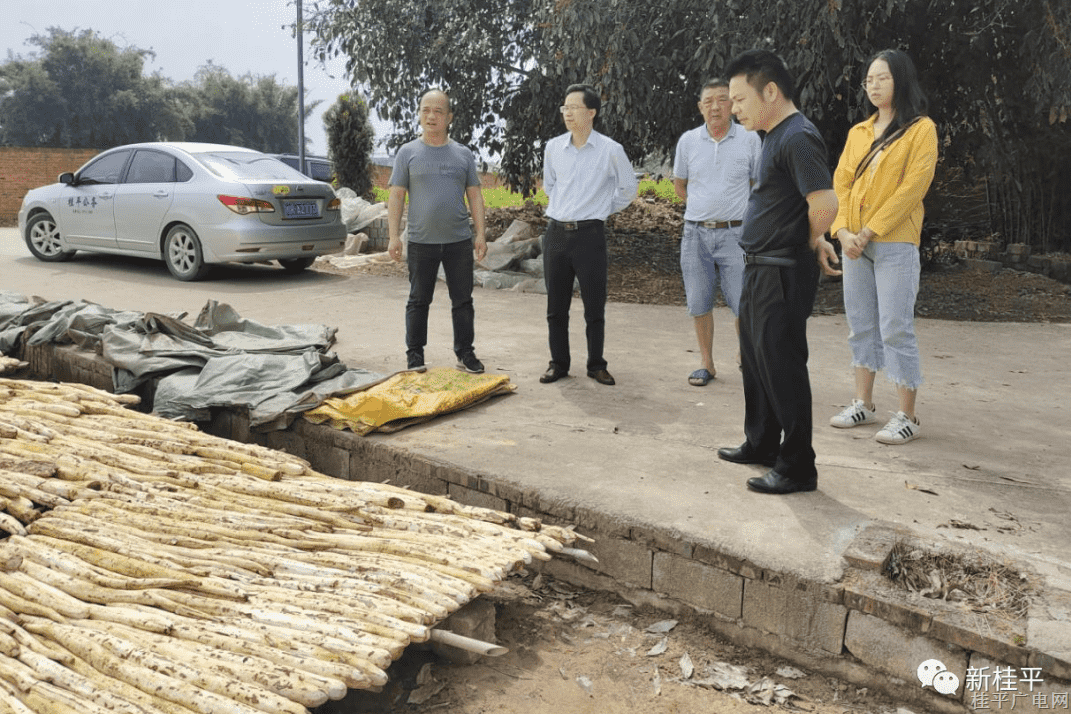 桂平市金田鎮(zhèn)：跟蹤整改落實(shí) 鞏固整改成效