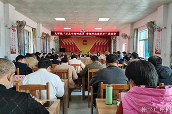 【鄉(xiāng)村振興 桂平行動(dòng)】大洋鎮(zhèn)吹響“萬名干部回故鄉(xiāng) 帶領(lǐng)群眾建家鄉(xiāng)”集結(jié)號