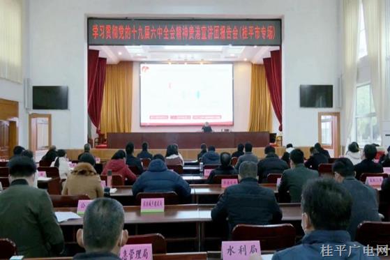 桂平市組織參加學(xué)習(xí)貫徹黨的十九屆六中全會(huì)精神貴港宣講團(tuán)報(bào)告會(huì)