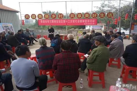 貴港市宣講員到河口村宣講自治區(qū)第十二次黨代會(huì)精神