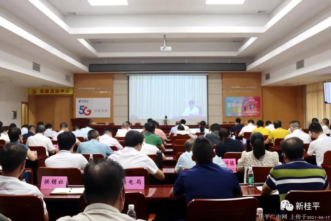桂平市組織收聽收看貴港市安全生產(chǎn)工作暨深入開展安全生產(chǎn)專項整治三年行動電視電話會