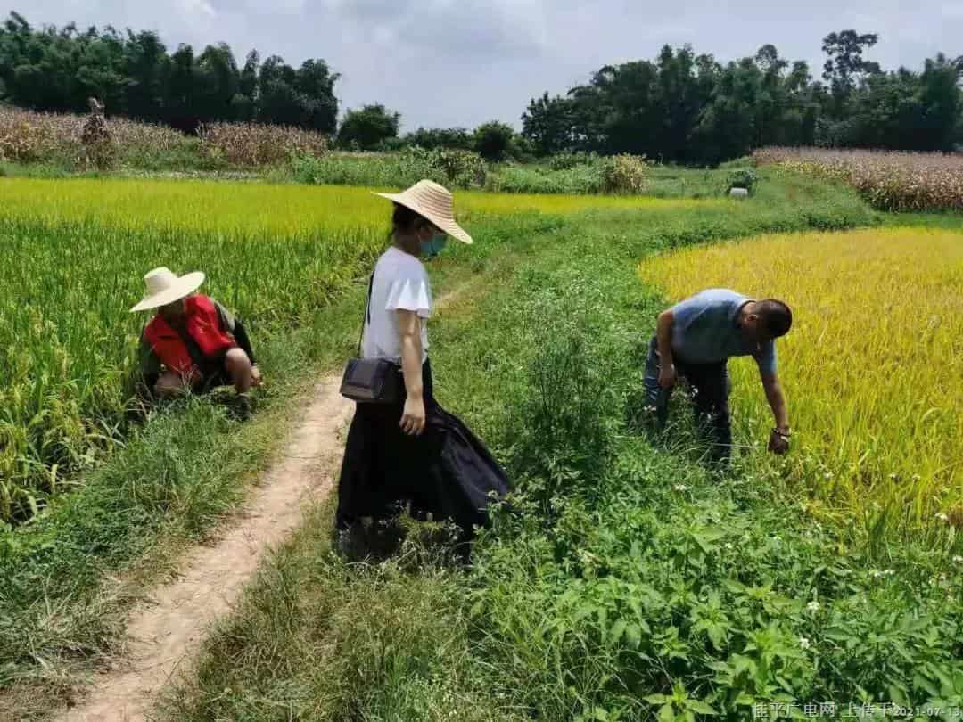 微信圖片_20210713091720.jpg