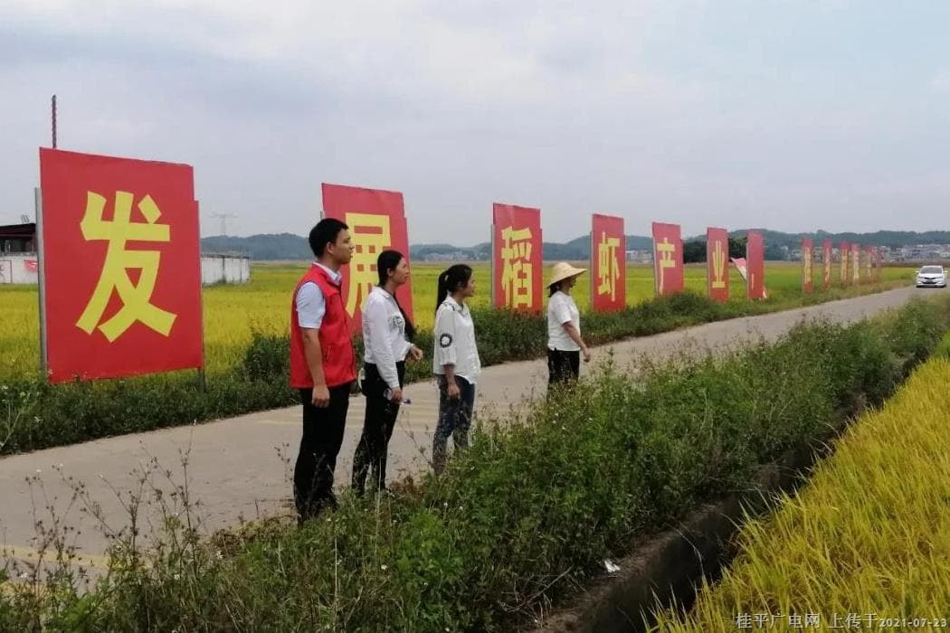 桂平：青春在駐村奮斗中熠熠閃光