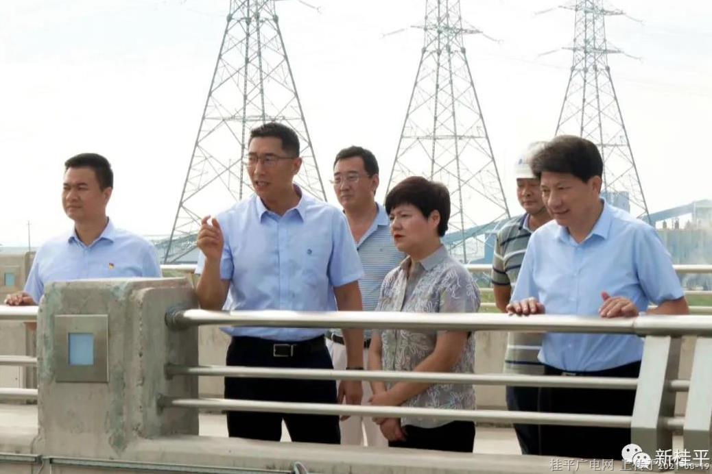 蔡麗新到桂平市調(diào)研項目建設(shè),、鄉(xiāng)村振興,、大健康文旅產(chǎn)業(yè)發(fā)展工作