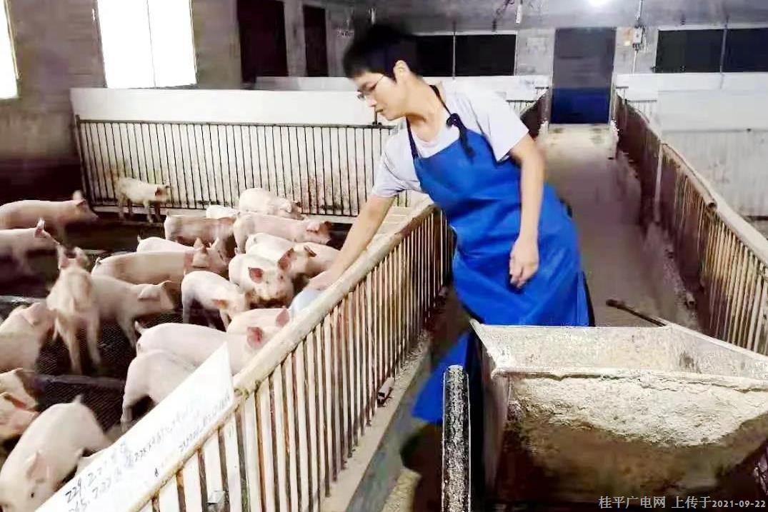 廖松連：科技養(yǎng)殖示范 巾幗致富能手