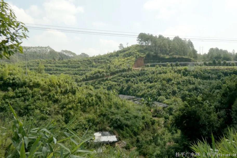 桂平市農(nóng)業(yè)科技園區(qū)榮獲自治區(qū)科技廳“廣西農(nóng)業(yè)科技園區(qū)”認(rèn)定