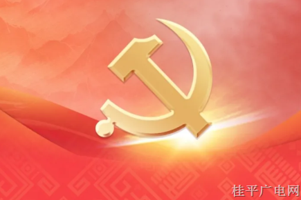 把加強黨的領導貫穿二十大代表選舉工作全過程