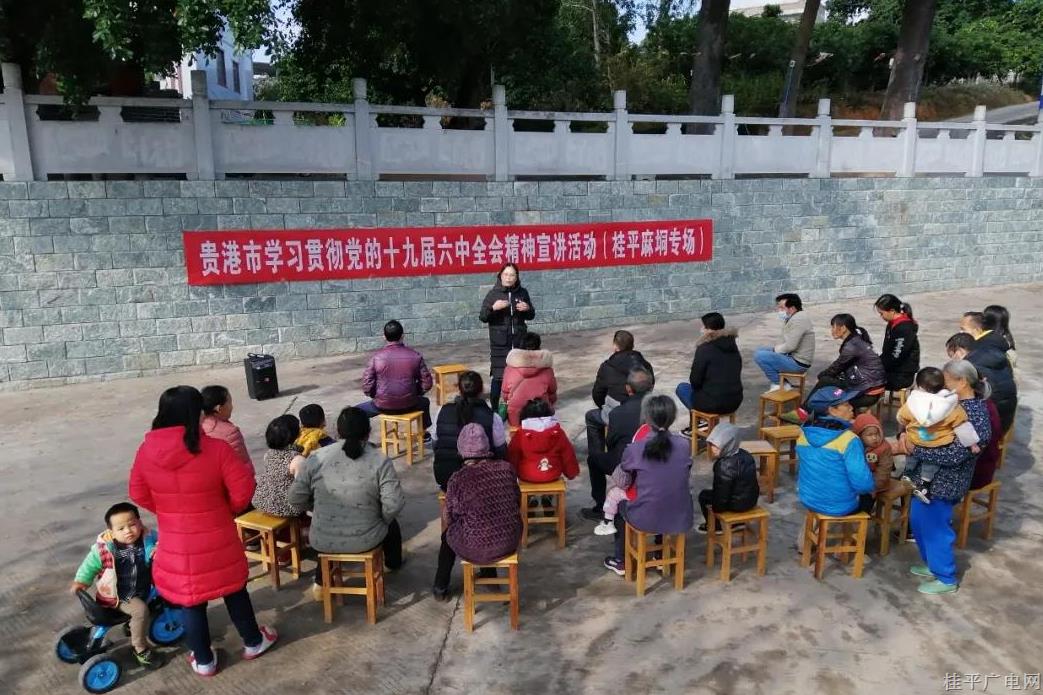 貴港市理論宣講人才庫(kù)成員到麻垌鎮(zhèn)開展學(xué)習(xí)貫徹黨的十九屆六中全會(huì)精神宣講活動(dòng)