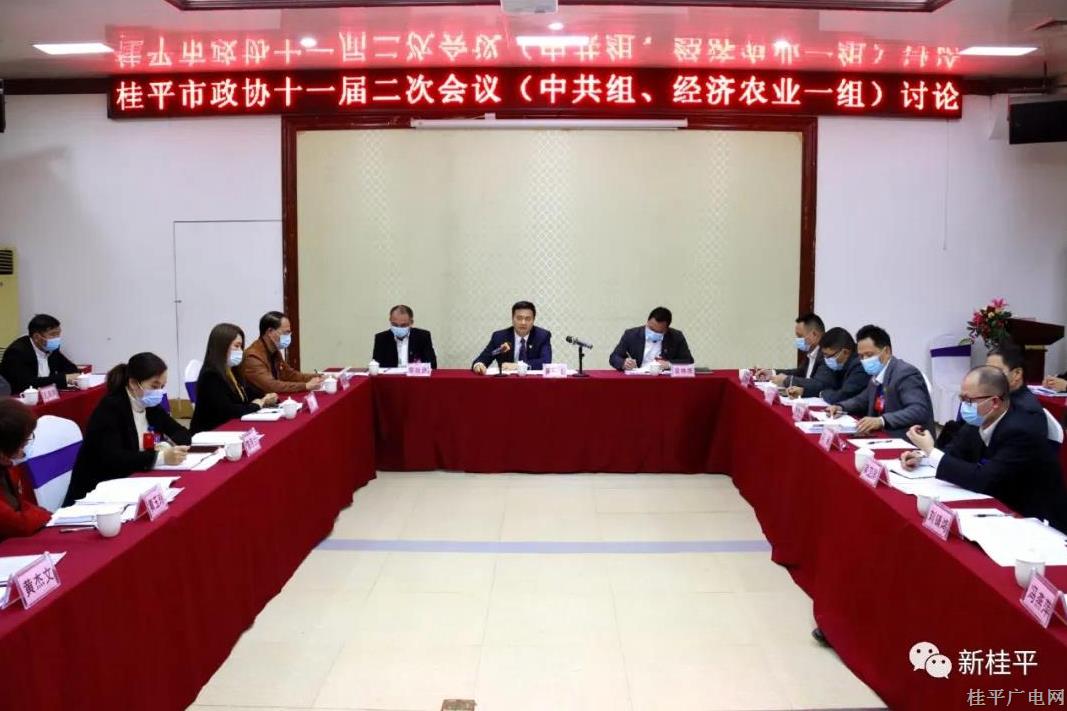 【聚焦兩會】黃德佳參加桂平市政協(xié)十一屆二次會議聯(lián)組討論