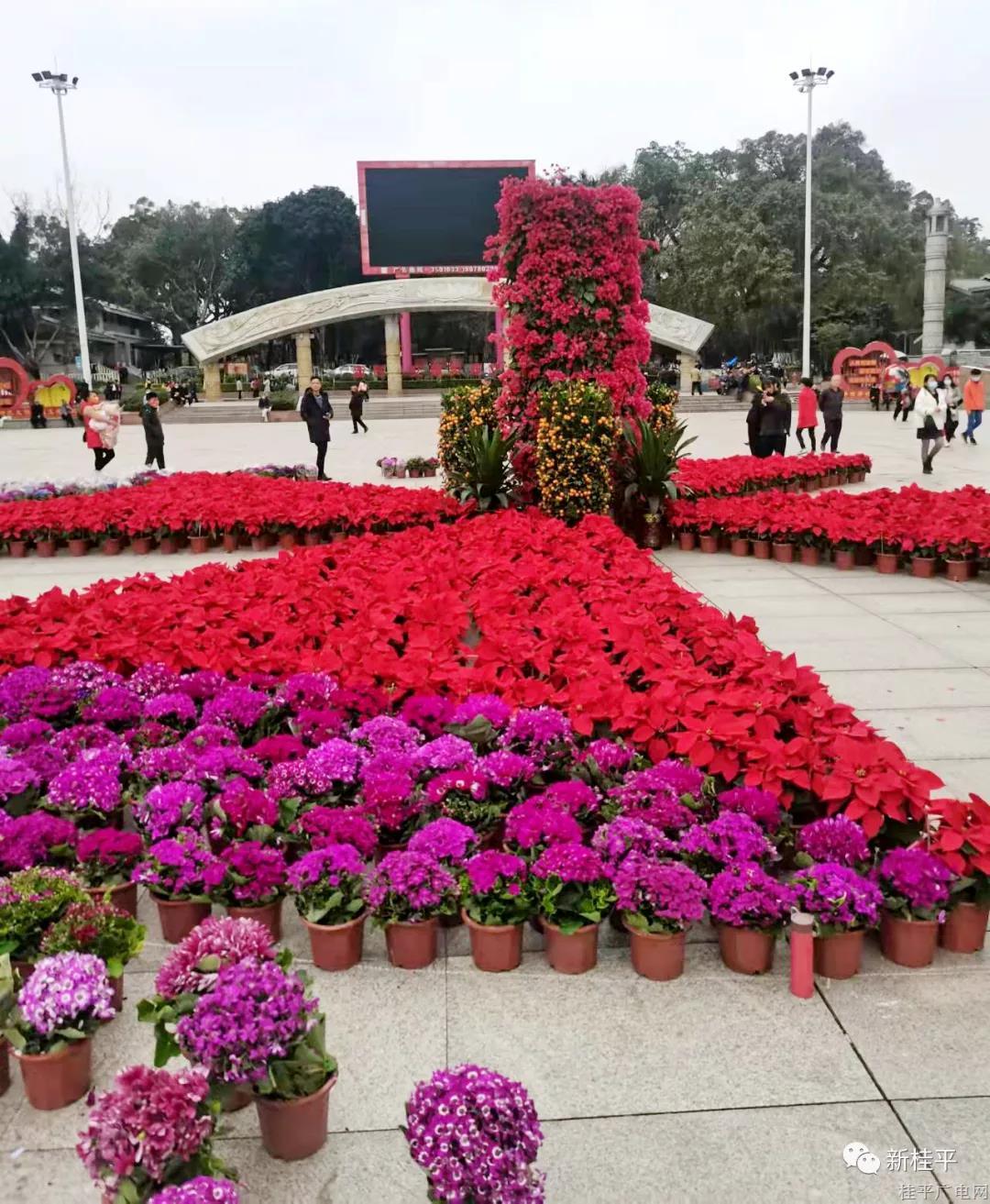 微信圖片_20220127103100.jpg 微信圖片_20220127103100.jpg