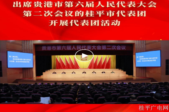桂平市代表團(tuán)開展代表團(tuán)活動(dòng)