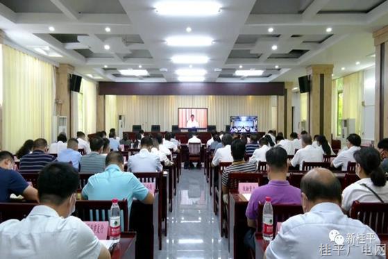 桂平市組織參加全區(qū)穩(wěn)經(jīng)濟大盤四季度工作推進(jìn)電視電話會議