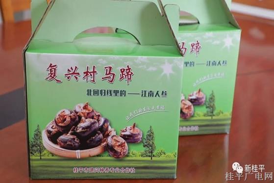 桂平尋旺鄉(xiāng)復(fù)興村：小小馬蹄助農(nóng)增收