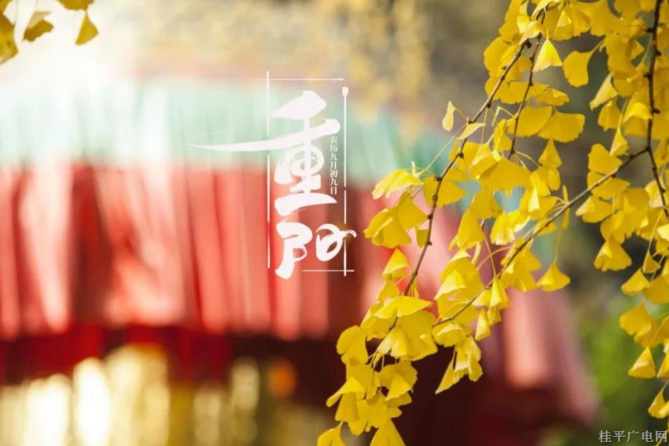 【網(wǎng)絡(luò)中國(guó)節(jié)·重陽】今日重陽 | 九九重陽 久久相伴