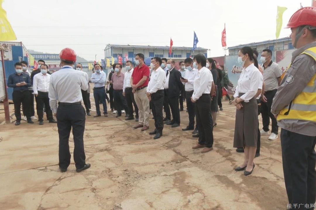 桂平市工商聯(lián)（商會）企業(yè)家代表到桂平市閩桂木業(yè)生態(tài)產(chǎn)業(yè)城參觀考察