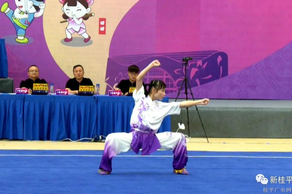 廣西第十五屆運(yùn)動(dòng)會(huì)武術(shù)套路比賽開幕