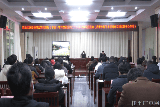 自治區(qū)黨委講師團特聘教授（專家）到我市開展黨的二十大精神宣講活動