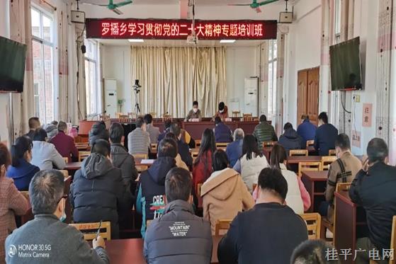 市領(lǐng)導(dǎo)到羅播鄉(xiāng)宣講黨的二十大精神