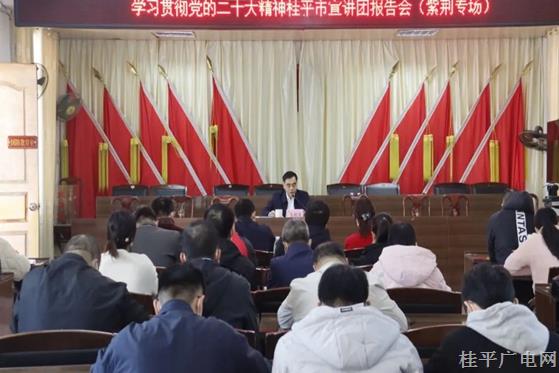 學習貫徹黨的二十大精神桂平市宣講團報告會（紫荊鎮(zhèn)專場）開講