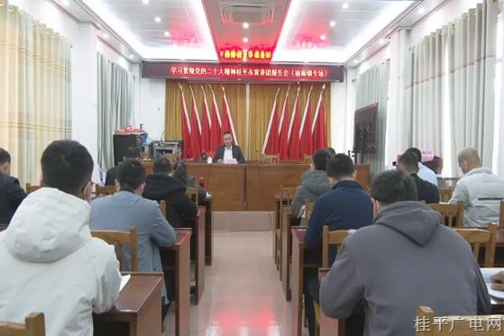 學(xué)習(xí)貫徹黨的二十大精神桂平市宣講團(tuán)報告會（油麻鎮(zhèn)專場）開講