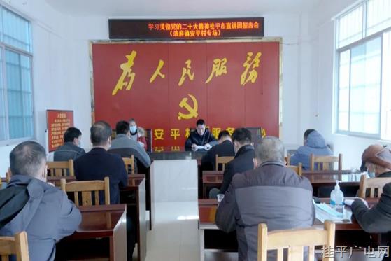 學(xué)習(xí)貫徹黨的二十大精神桂平市宣講團(tuán)報告會（油麻鎮(zhèn)安平村專場）開講