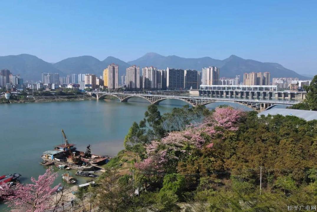 桂平市：搶抓機(jī)遇,、招大引強(qiáng) 招商引資成果豐碩