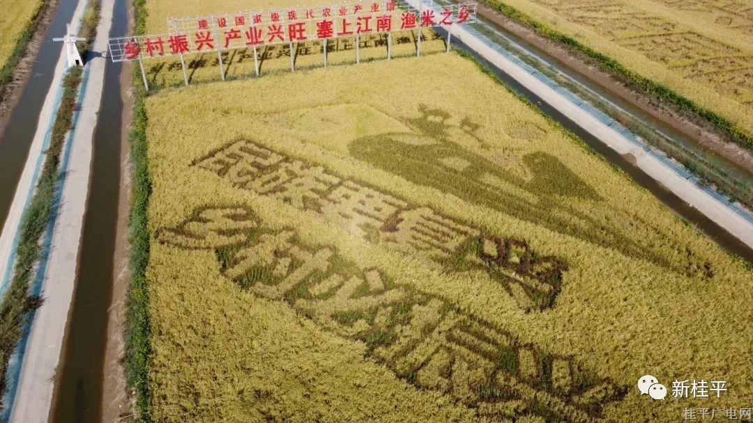 微信圖片_20220224093802.jpg