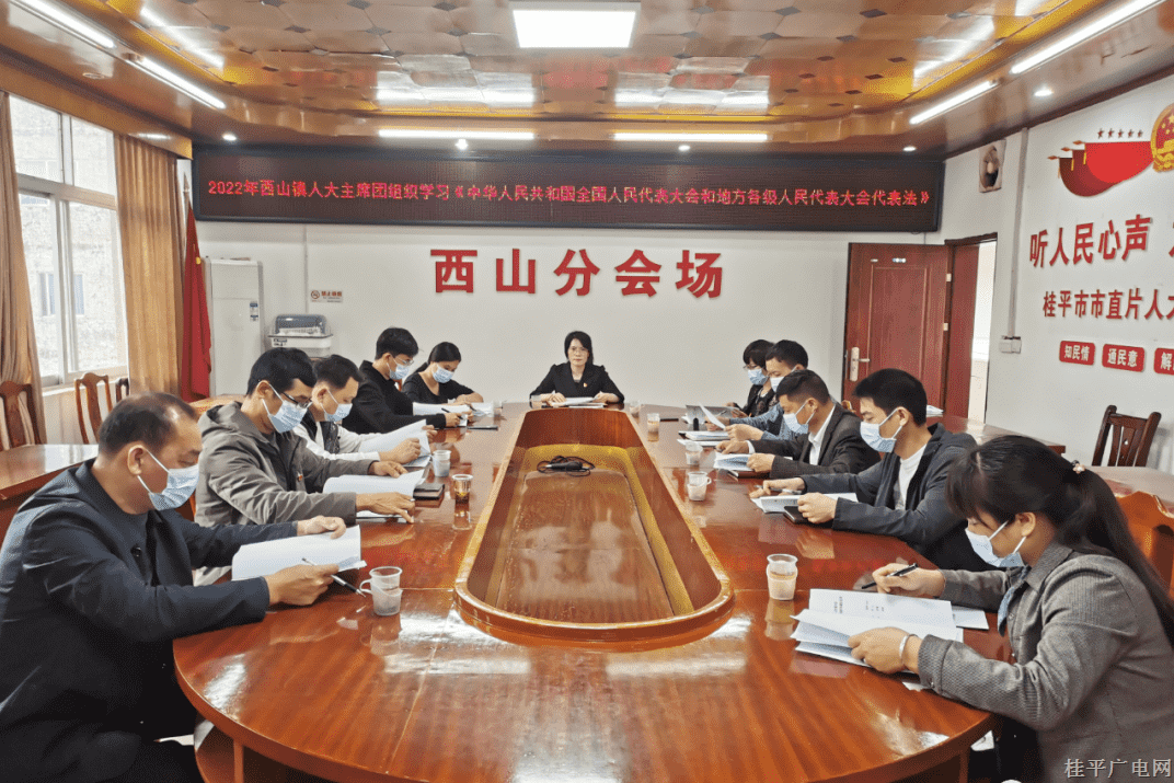強(qiáng)化自身建設(shè) 提升履職能力——西山鎮(zhèn)組織人大主席團(tuán)學(xué)習(xí)人大相關(guān)法律法規(guī) 提升代表履職能力
