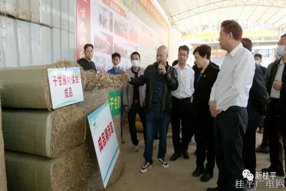 自治區(qū)農業(yè)生態(tài)資源環(huán)境保護技術培訓班到我市觀摩秸稈綜合利用情況