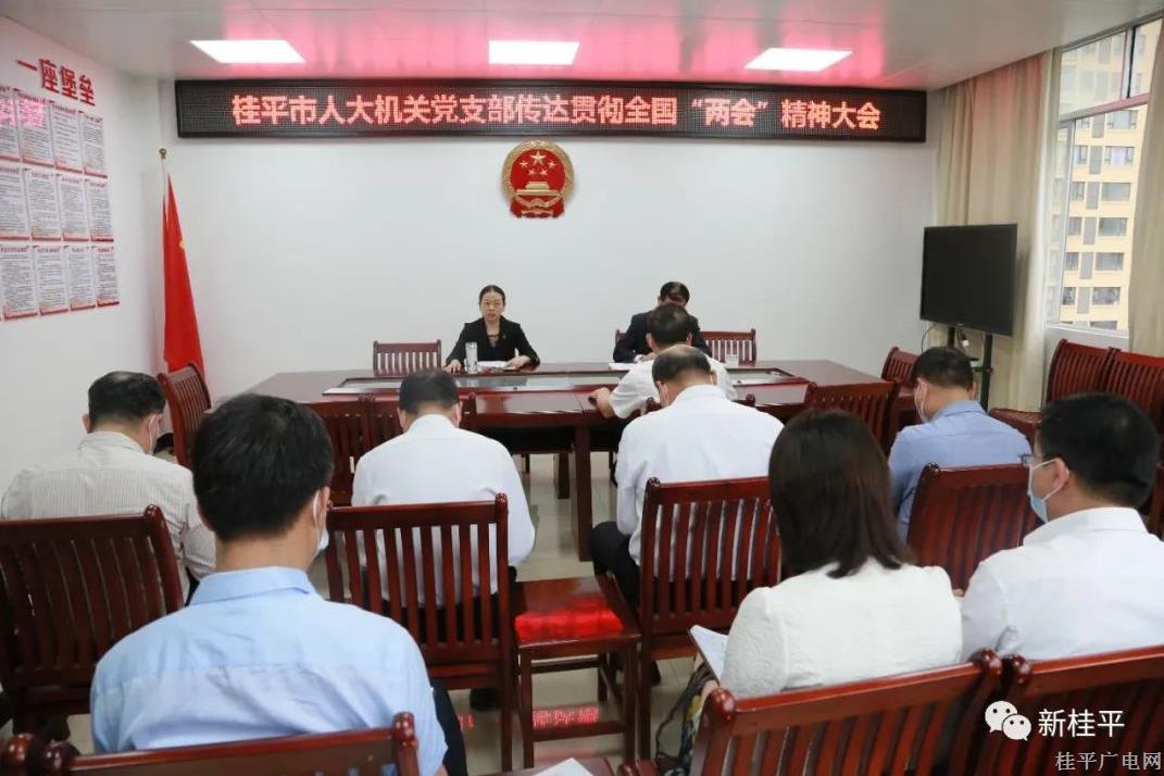 桂平市人大機(jī)關(guān)召開會(huì)議傳達(dá)貫徹全國(guó)兩會(huì)精神
