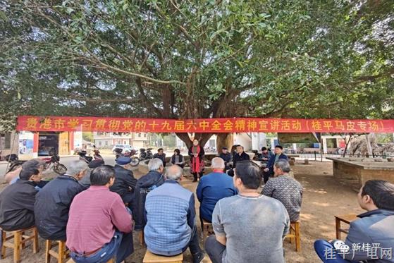讓十九屆六中全會(huì)精神“飛入尋常百姓家”