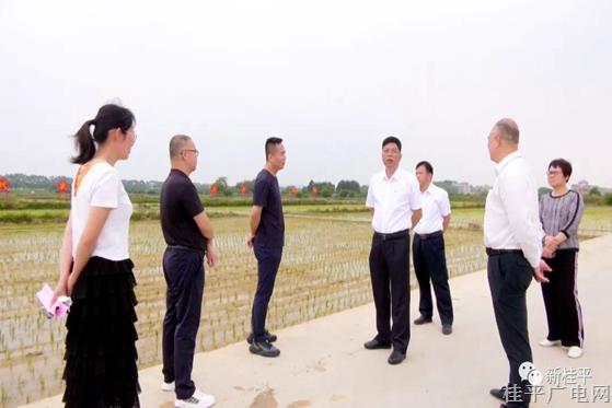 貴港市人大調(diào)研組到我市“美麗坊一一金桂新鄉(xiāng)村生活示范建設(shè)項(xiàng)目（一期）”開展調(diào)研活動(dòng)