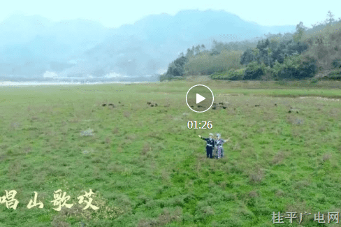 桂平：三月三 “壯”見藍朋友唱山歌