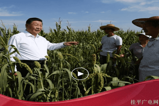 看到你們生活好,，我很高興！