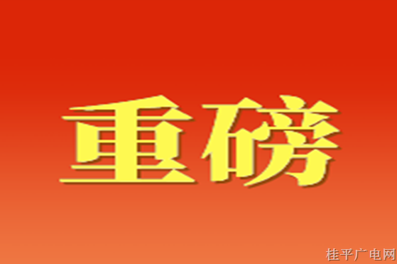 全文來了！習(xí)近平在慶祝中國共青團(tuán)成立100周年大會(huì)上的重要講話