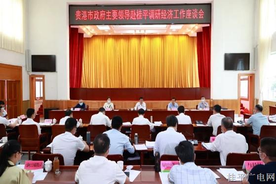 朱會(huì)東到桂平市調(diào)研