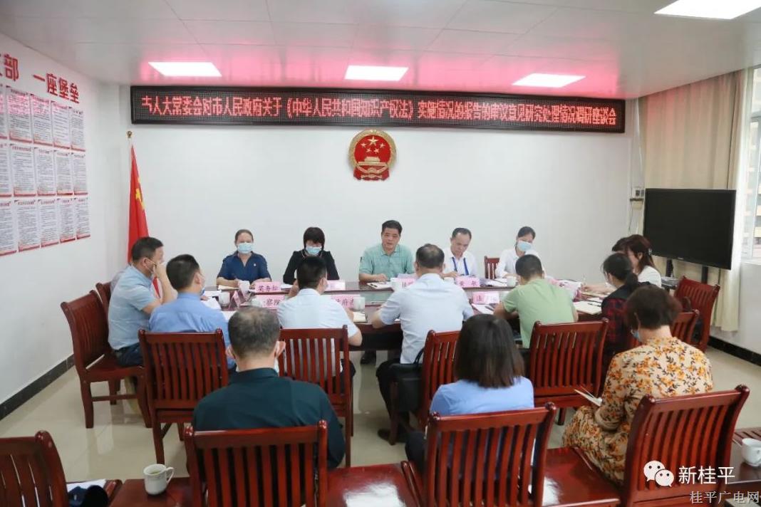 市人大常委會(huì)對(duì)市政府關(guān)于《中華人民共和國(guó)知識(shí)產(chǎn)權(quán)法》實(shí)施情況的報(bào)告的審議意見研究處理情況進(jìn)行調(diào)研