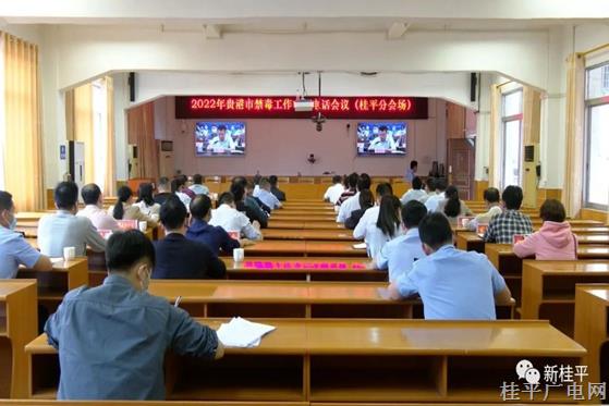 桂平市組織收看收聽2022年貴港市禁毒工作電視電話會議