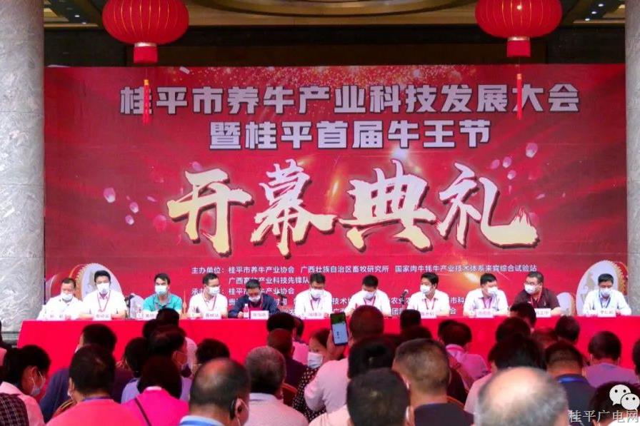 桂平市舉辦2022年養(yǎng)牛產(chǎn)業(yè)科技發(fā)展大會(huì)暨首屆“牛王節(jié)”活動(dòng)