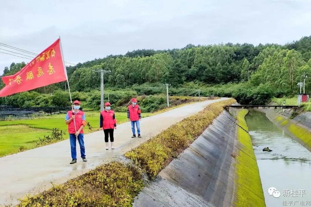 桂平市石龍鎮(zhèn)：黨員干部聞“汛”而動(dòng) 沖鋒在前筑牢“安全堤壩”