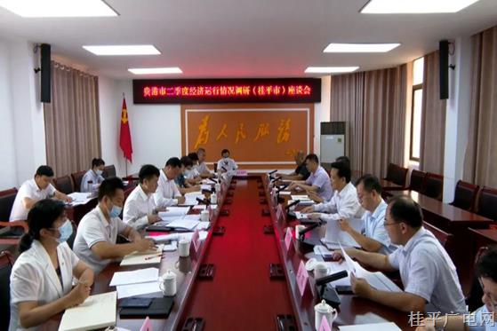 貴港市領(lǐng)導(dǎo)到桂平市調(diào)研二季度經(jīng)濟(jì)運(yùn)行情況