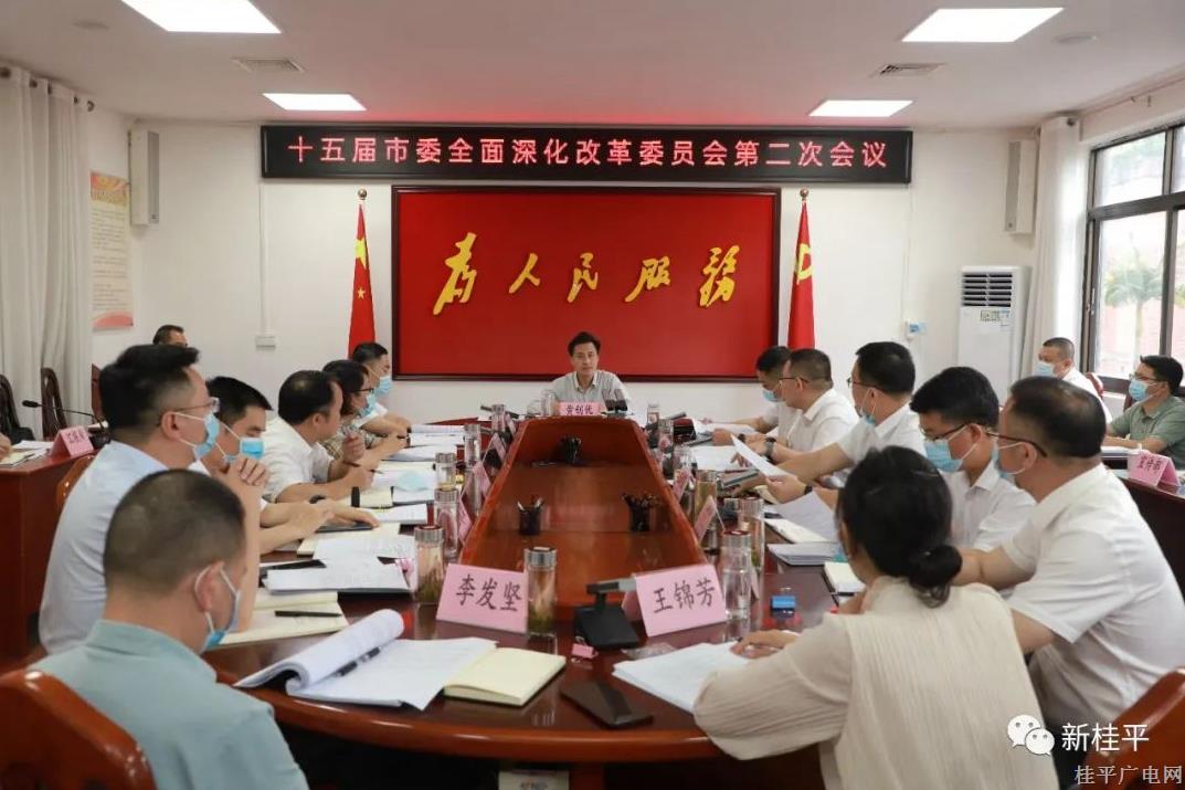 十五屆桂平市委全面深化改革委員會召開第二次會議