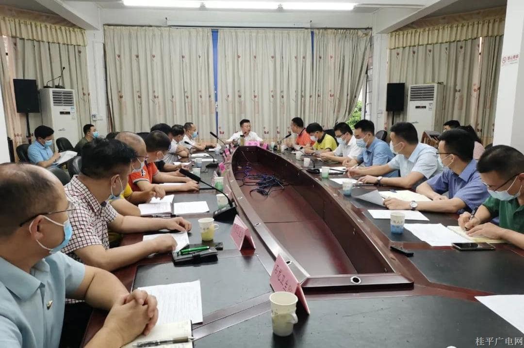 我市召開衛(wèi)健系統(tǒng)重大項(xiàng)目規(guī)劃建設(shè)務(wù)虛會(huì)