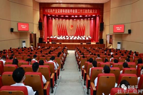 共青團(tuán)桂平市第二十三次代表大會(huì)召開