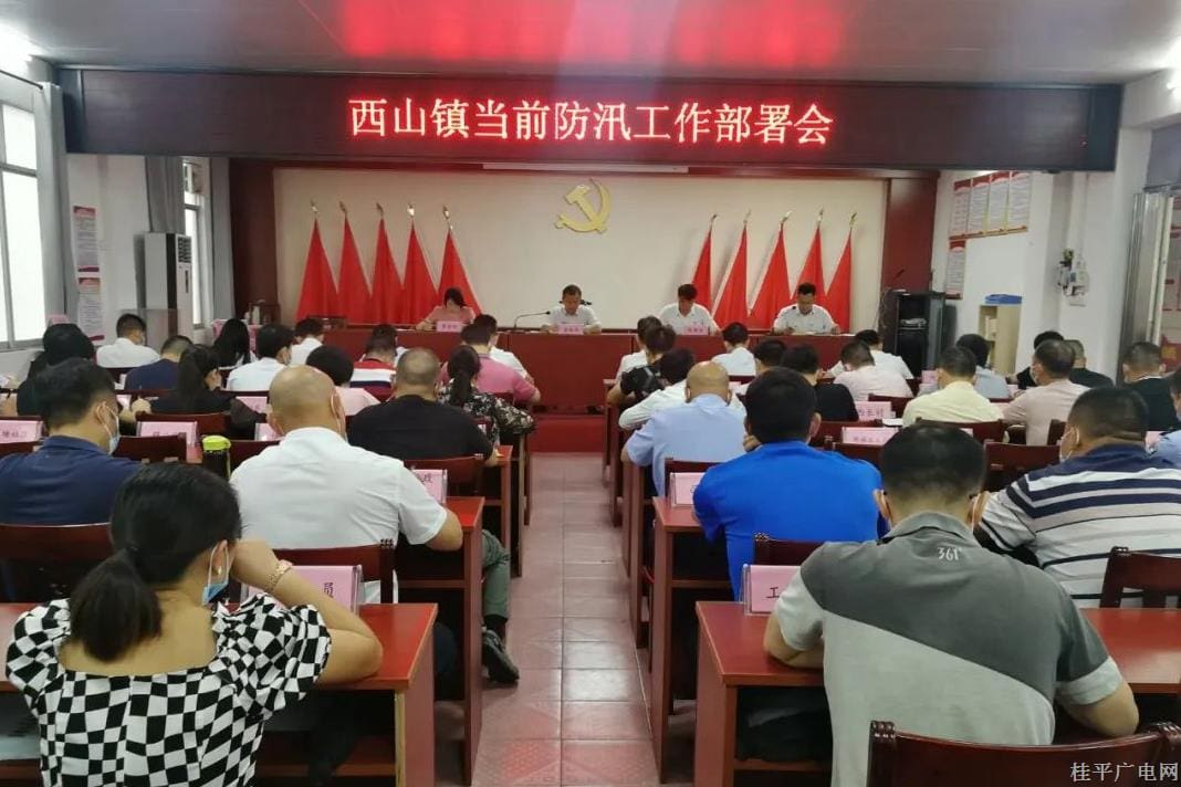 桂平市西山鎮(zhèn)：防汛中 人大代表們一線守護家園