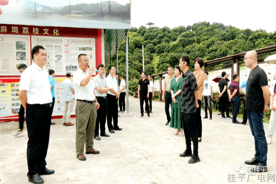 柳州市城中區(qū)人大代表到桂平市開展調(diào)研